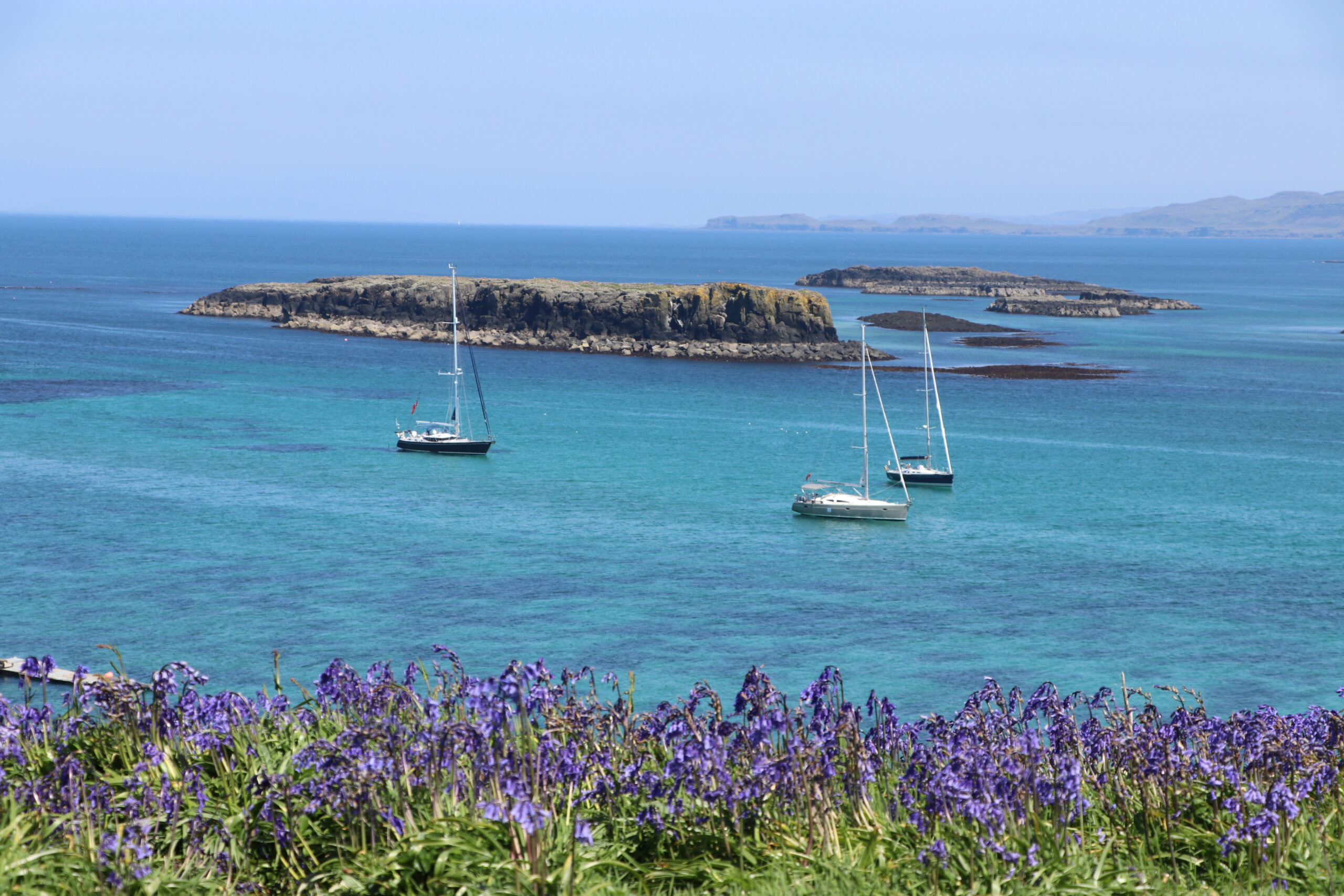 bluebells-lunga-martin-shairp