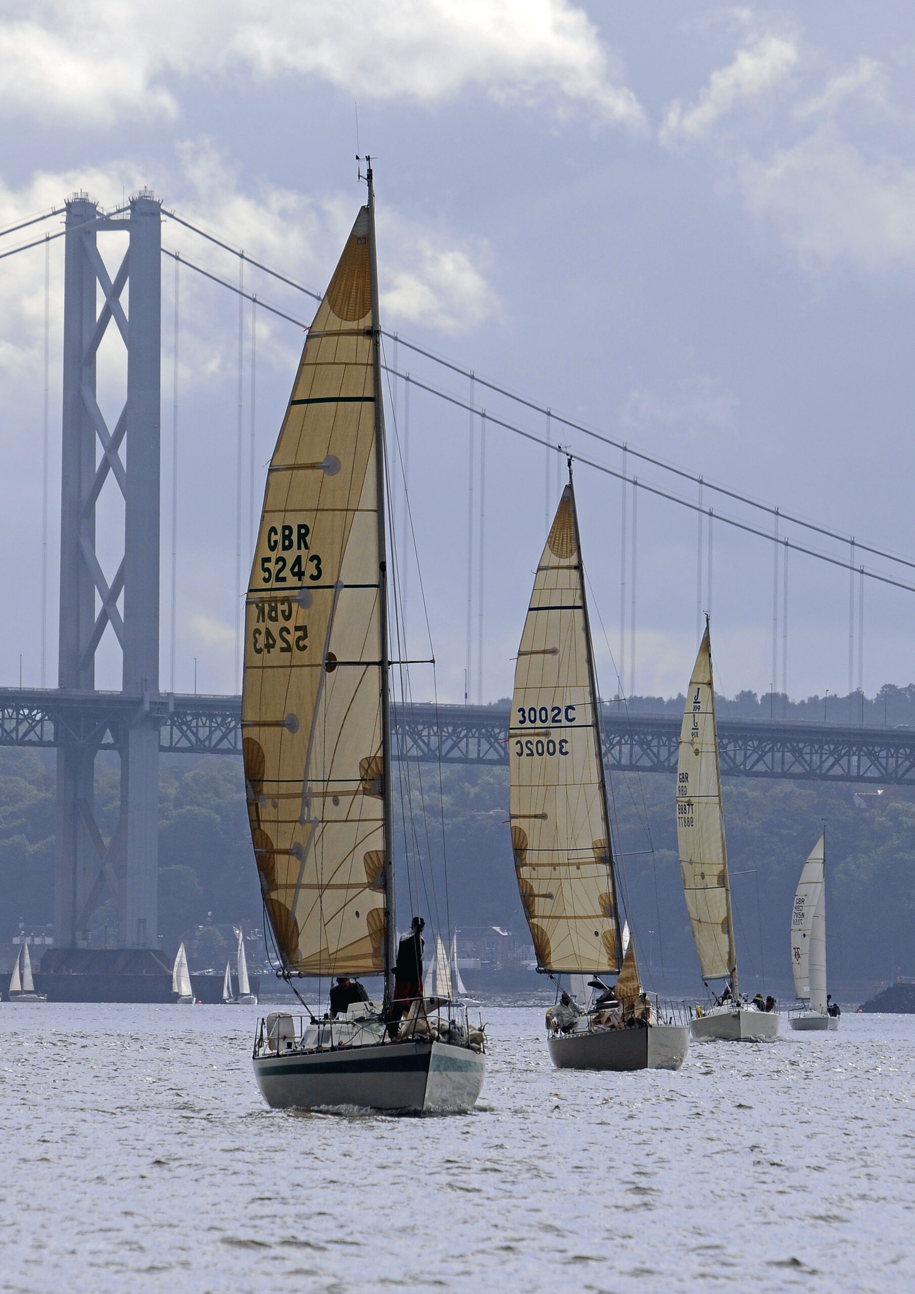 f2969e87-c2e1-4e70-acae-cc794a7e9a35_All-in-a-Row-3