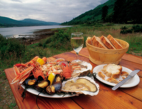 2015 The Year Of Food & Drink